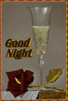 j%C3%B3%C3%A9jszak%C3%A1t good night night night champagne rose
