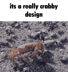 Crabby GIF - Crabby GIFs