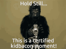 Kidbacon Kidbacon Moment GIF - Kidbacon Kidbacon Moment Certified Kidbacon Moment GIFs