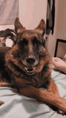 Chilling Relaxing GIF - Chilling Relaxing Funny GIFs