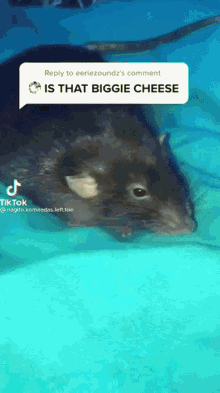 Biggie Cheese Pure Floppa GIF