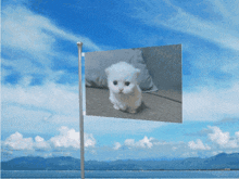 Ewpert Flag GIF - Ewpert Flag Cat GIFs