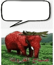 Straberrry Elephant GIF - Straberrry Elephant GIFs