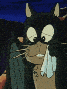 a black cat wipes its nose with a white cloth