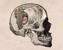 art attack skull love brain