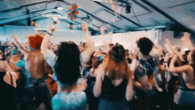 Youngr Party GIF