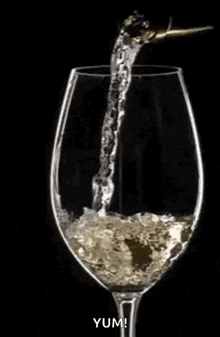 Glass Champagne Pouring Bubbley GIF