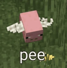 Pee Bee Pig GIF - Pee Bee Pig Pig GIFs