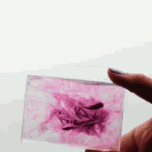 Hand Made Soap Clear Soap GIF - Hand Made Soap Clear Soap See Through Soap GIFs