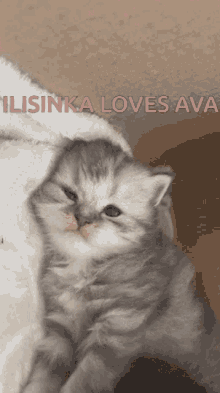 Ava Ilisinka GIF - Ava Ilisinka Love GIFs