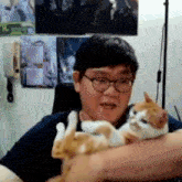 a man with glasses is holding an orange and white cat .