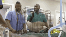 Get Me Out Of Here Dr Vernard Hodges GIF - Get Me Out Of Here Dr Vernard Hodges Critter Fixers GIFs