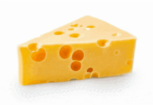 Chmeese Cheese GIF - Chmeese Cheese Cheese Cat GIFs