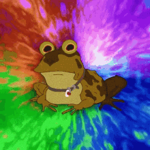 Hyptonize Frog GIF