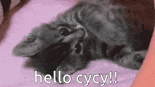 Cycy Cyrine GIF - Cycy Cyrine Hello GIFs