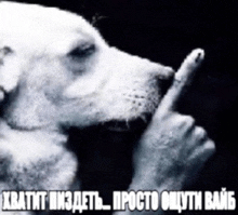 a black and white photo of a dog making a silence gesture with its finger