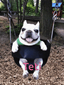a white dog is sitting on a swing with the name teti written in pink