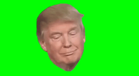 Trump Really GIF - Trump Really Funny - Discover & Share GIFs