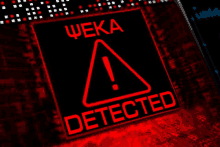 Pseka Detected GIF - Pseka Detected GIFs