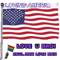 a poster that says loving american on it