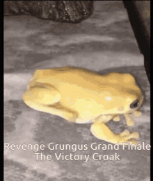 grungus frog froge revenge revenge grungus