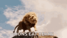 Wild Animals Lion GIF - Wild Animals Lion Roar GIFs