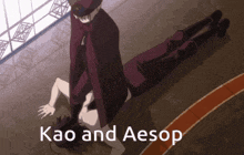 kao and aesop is written on the bottom of a picture