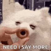 a person is feeding a dog a donut with a hole in its nose .