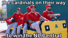 Cardinals Stlcards GIF