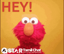 elmo says hey on a yellow background with star tamil chat