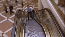 malcolm hal gifleuse escalator reverse