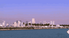 Miami Florida GIF - Miami Florida Skyline GIFs