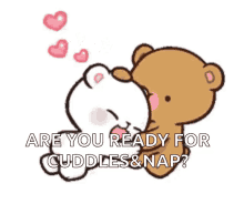 Nap Bear GIF - Nap Bear Cuddle GIFs