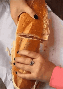 Baguette Fuck Around And Find Out GIF - Baguette Fuck Around And Find Out Cat Inside Bread GIFs