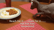 Reach For It Cat GIF - Reach For It Cat Hungry GIFs