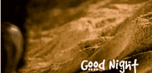 a brown background with the words good night written in white