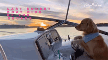 Driving Riding GIF - Driving Riding Captain GIFs