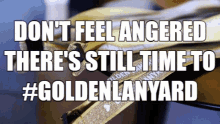 Golden Dont Feel Angered GIF - Golden Dont Feel Angered GIFs
