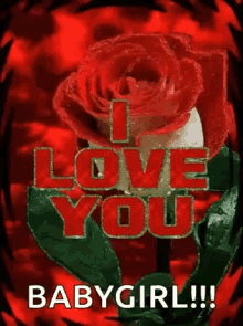 I Love You With Red Rose Images GIFs | Tenor