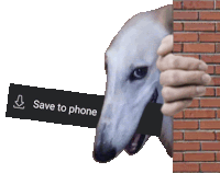 Borzoi Save To Phone Sticker - Borzoi Save To Phone Lurking Stickers