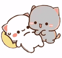 a couple of cats laying next to each other on a pillow .
