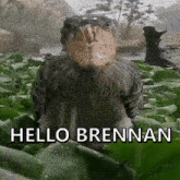 Brennan Hello Brennan GIF - Brennan Hello Brennan Hello GIFs