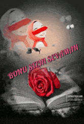 a book with a red rose and the words bonu sizin sevman written on it