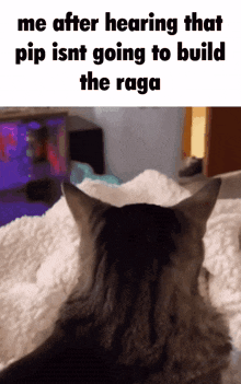 a cat laying on a bed with the caption " me after hearing that pip isn t going to build the raga "