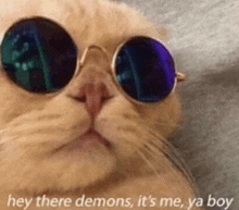 a cat wearing sunglasses with the words `` hey there demons , it 's me , ya boy '' written above it .