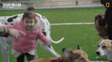 Excited Cesar Millan Better Human Better Dog GIF - Excited Cesar Millan Better Human Better Dog Jumping Up And Down GIFs