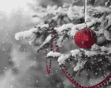 merry christmas christmas tree snow red ornament