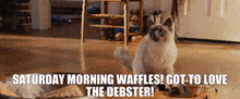 Marmaduke Saturyday Morning Waffles GIF - Marmaduke Saturyday Morning Waffles I Got To Love The Debster GIFs