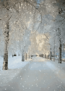 Walking Beautiful GIF - Walking Beautiful Snow GIFs