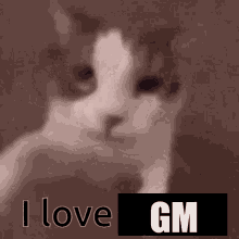 Gb Gm GIF - Gb Gm I Love Gm GIFs